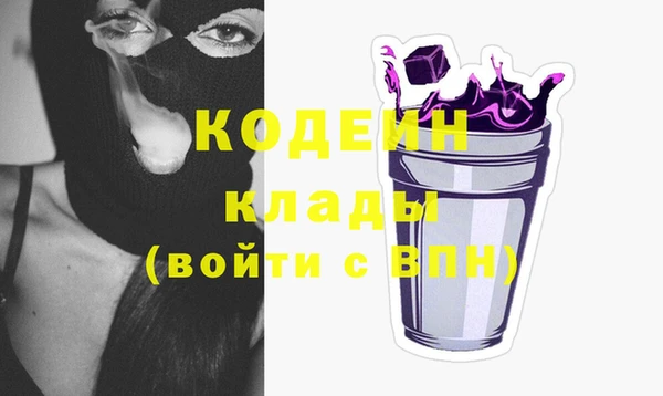 мдпв Костерёво