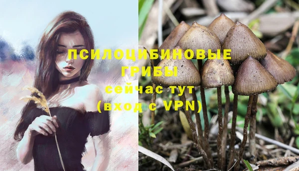 марихуана Корсаков